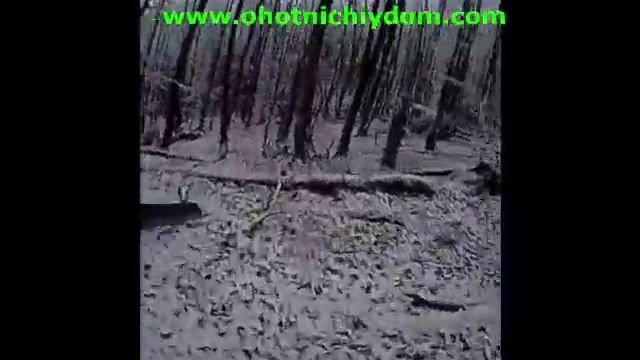 Охота на кабана в Крыму смотреть онлайн