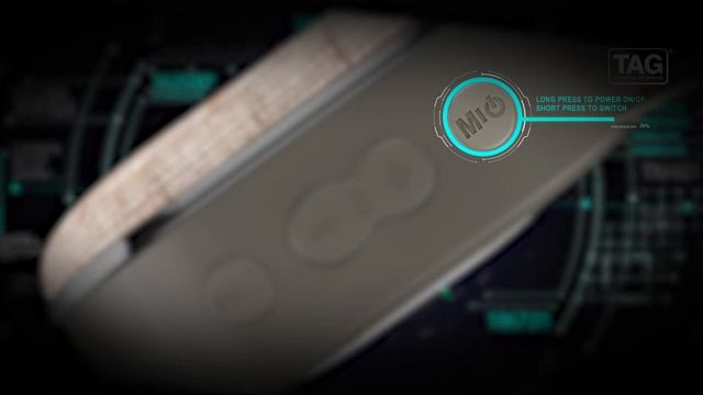 TAG "COMPANION" BLUETOOTH SPEAKER смотреть онлайн