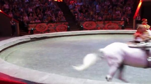 Шоу "Эпицентр мира". Выступление на лошадях.