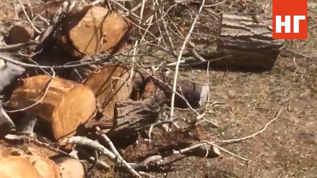 После спила опасного дерева во дворе костанайского дома стало еще опаснее смотреть онлайн