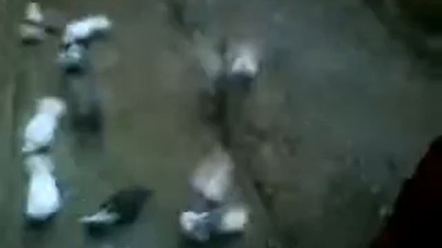 Tipler Emo PZ смотреть онлайн