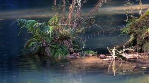 ПЕРЕПУТАЛ ЖЕНУ С ТЕЩЕЙ... Теща и зять. История с зятем и тещей. История из жизни. Рассказ.