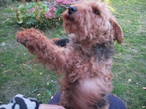 Улыбаемся все-Х-2021..wmv