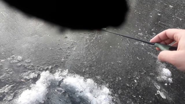 Крупные ерши и окунь на мормышку с мотылем. Зимняя рыбалка на ближнем озере смотреть онлайн