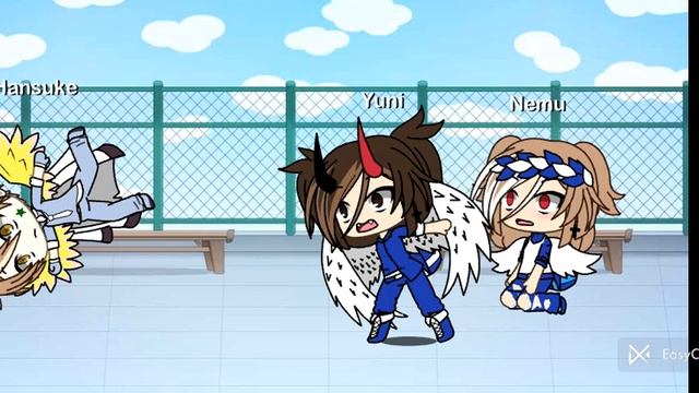 24 ноября 2023 г.