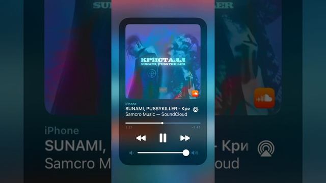 SUNAMI & Pussykiller - Кристалл(Samcro Music Remix) смотреть онлайн
