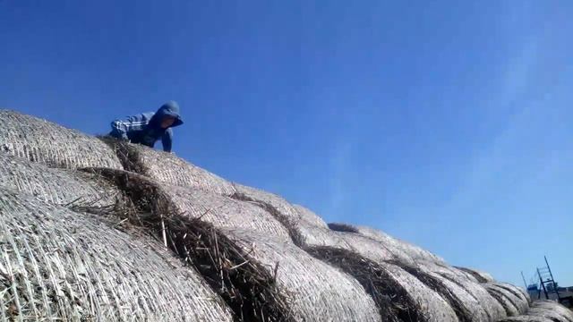 Человек Обезьяна смотреть онлайн