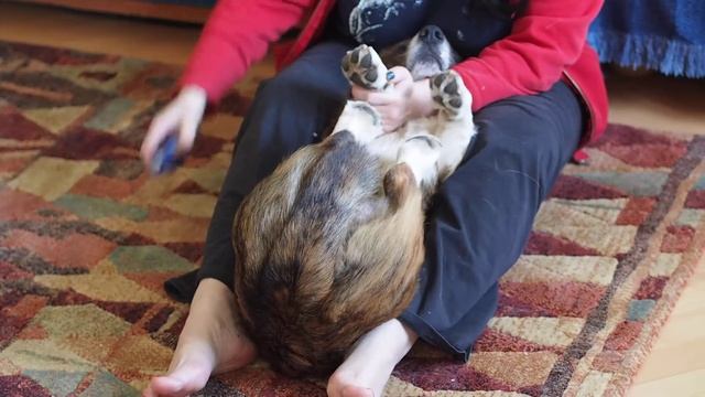 Страшно, аж жуть! смотреть онлайн