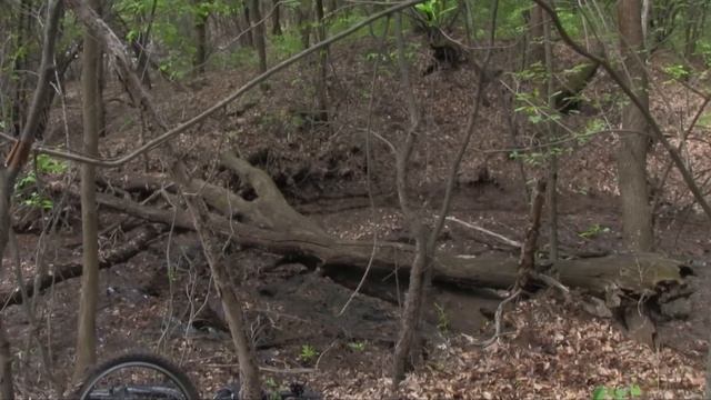 о. Сарпинский