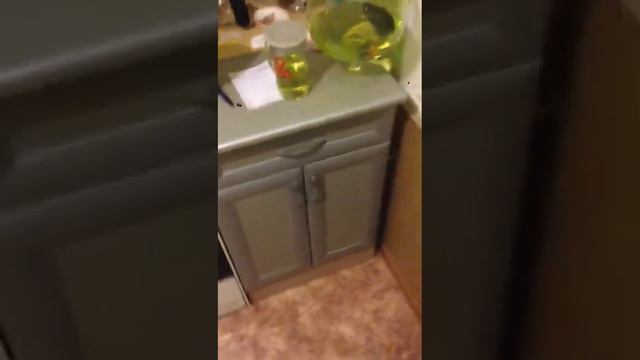 А что цвет правильный придает смотреть онлайн