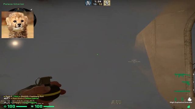 CSGO: GTX 1660 Super + Ryzen 3 - Low settings смотреть онлайн
