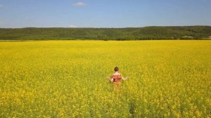 Красивая музыка (танец цветов под вальс) !!!