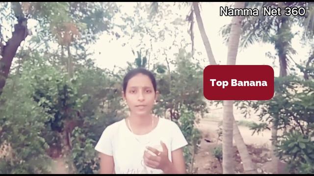 Idioms With Actors In Tamil | Namma Net 360 смотреть онлайн