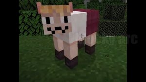 rare neco arcs compilation