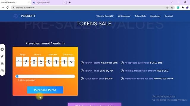 PurrNFT- A Project Of Trust смотреть онлайн