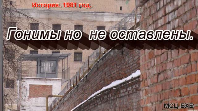 Гонимы но не оставлены Л М Винс МСЦ ЕХБ ПРОПОВЕДЬ 2020 смотреть онлайн