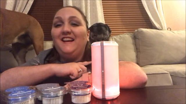 The New Scentsy Go!!!! ( My Review) смотреть онлайн