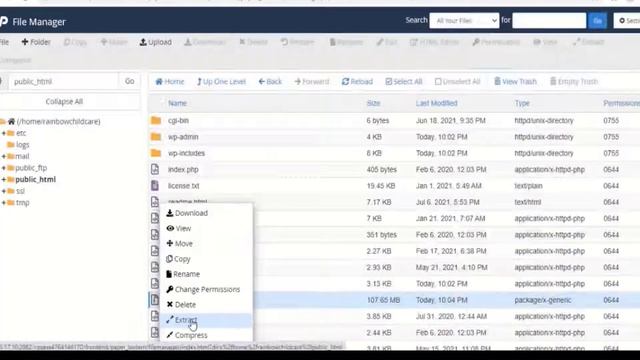 Manual Migrate Wordpress website from one Hosting Provider to Another: Futureroots смотреть онлайн