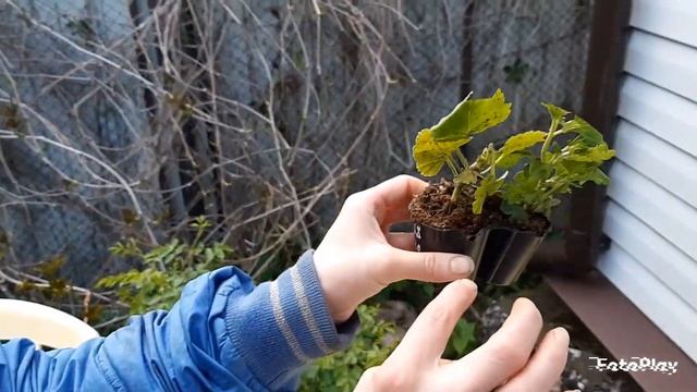 Мои новинки