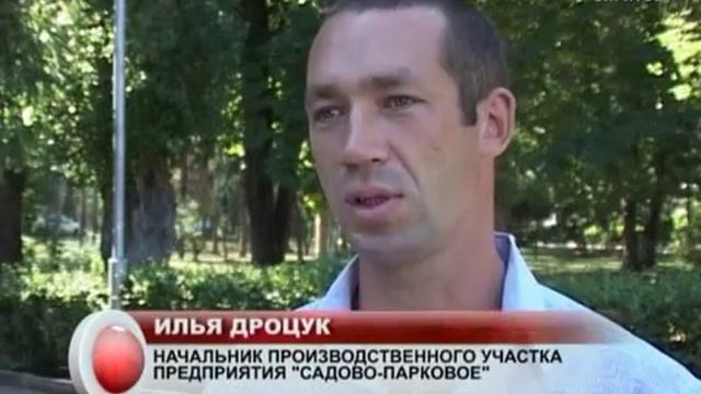 Саратовские школьники решили заработать смотреть онлайн