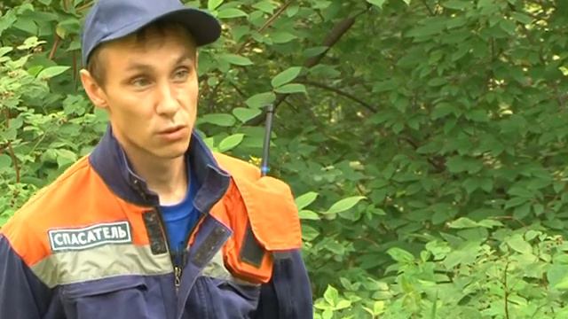 Ваша безопасность медведи смотреть онлайн