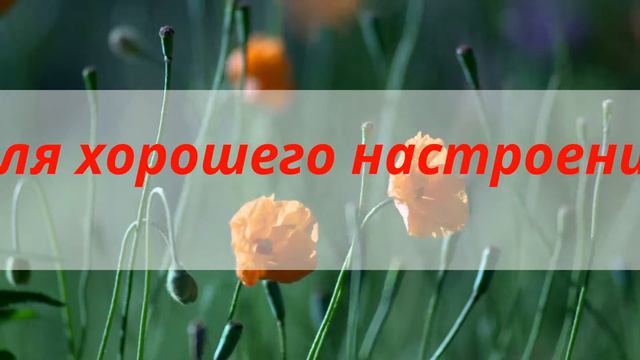 Для хорошего настроения ,скоро лето) смотреть онлайн