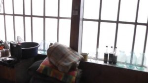 Отопление дома. Электро котел ZOTA.