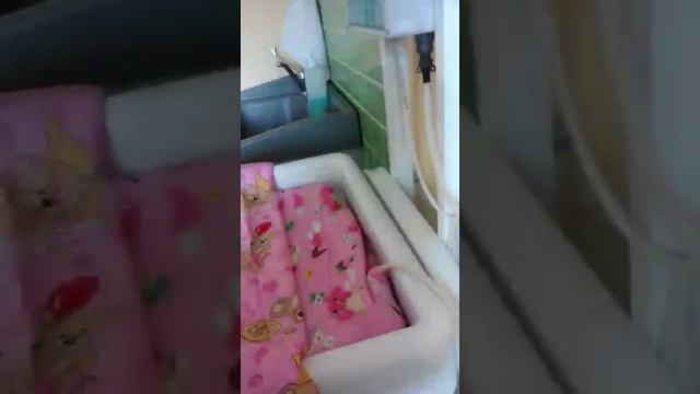 Перинатальный центр. Самара. 28 октября 2016 смотреть онлайн