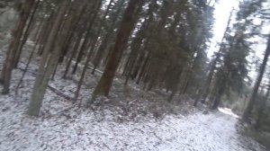 ОХОТА С ГОНЧИМИ НА ЗАЙЦА  И ЛИСУ 2022!!! Молодняк в деле !!!