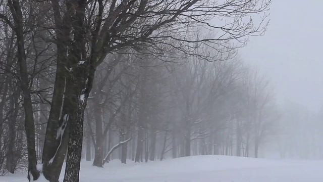 Расслабляющие звуки природы, снег, вьюга, метель,холод,звук снега) крепкий и здоровый сон смотреть онлайн