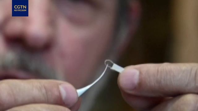 Художник-микроминиатюрист из Омска сделал маски для насекомых смотреть онлайн