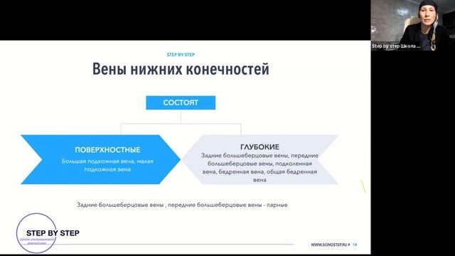 Вебинар 1- Ультразвуковая анатомия вен верхних и нижних конечностей от 15 02 2021 смотреть онлайн