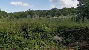 ШУРФ! Копаю Печь Старого Хутора! Как ПРАВИЛЬНО Шурфить!