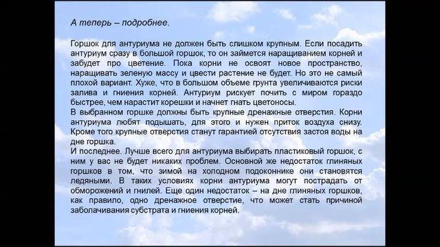 Антуриум пересадка в домашних условиях смотреть онлайн