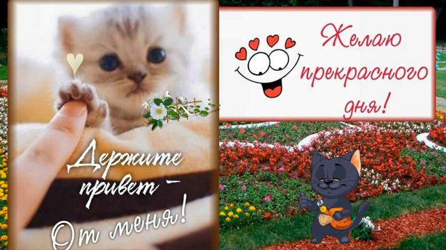 Всем всего доброго и прекрасного! смотреть онлайн