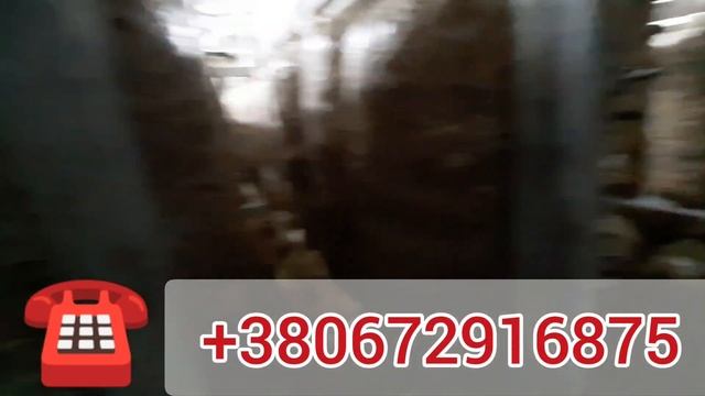 ?Одесса, гриб вешенка | грибная ферма | ? доставка | заказать ☎️ +380672916875 смотреть онлайн