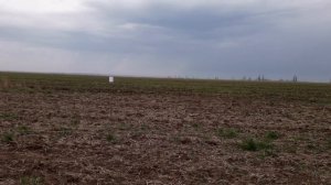 Отстрел МР-27ЕМ 12 кал на родных чоках дробью номер 6 на 35м. Подбор чоков для охоты на куропатку..