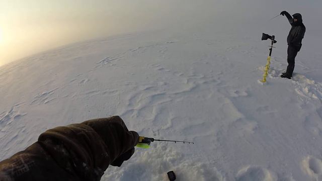 Рыбинка.Ловля окуня в мороз -25 смотреть онлайн