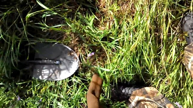 Коп между гречневым полем и лесополосой. смотреть онлайн