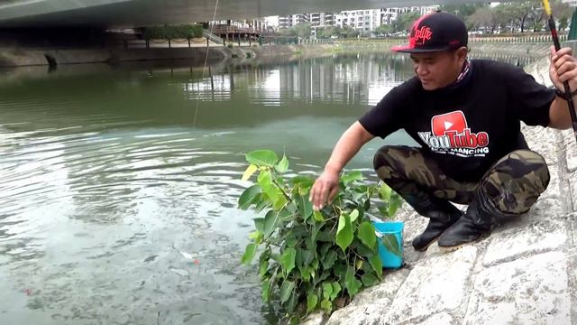 Sunguh Heboh Mancing Ikan Nila Babon Liar Saya Strek Bertubi Tubi Sampek Jadi Tontonan Warga