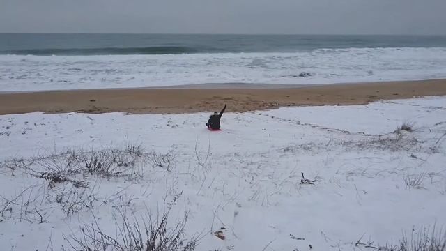 Новогодние каникулы на море. Почти Сэндборд/Сноуборд. | Almost Sandboard / Snowboard смотреть онлайн