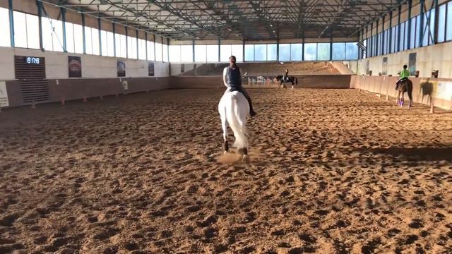 Вольт-плечо-принимание-переход в шаг 22июня17 смотреть онлайн