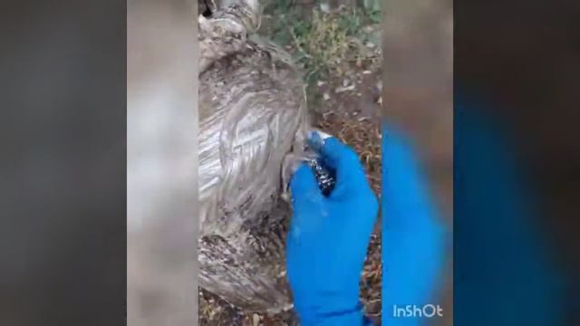 Как отмыть бидон после масла без лишних усилий смотреть онлайн