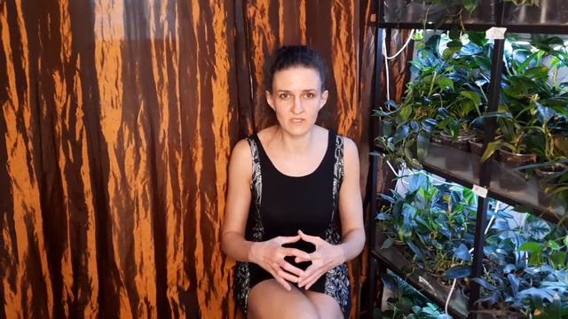 Я решила продать все свои растения смотреть онлайн
