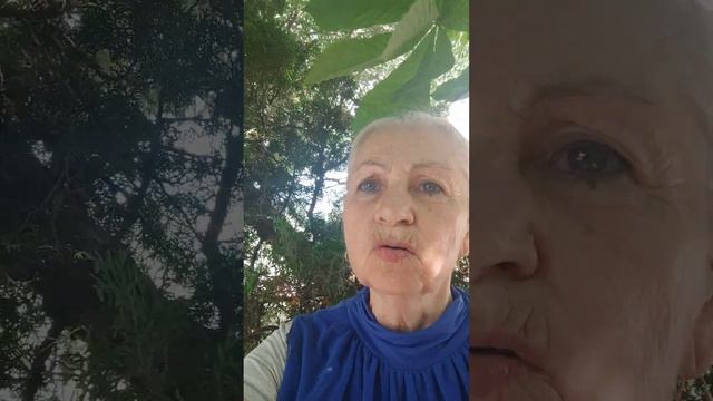 Чистые сердцем Бога узрят! смотреть онлайн