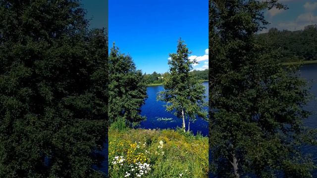 Лето в Карелии, п. Салми