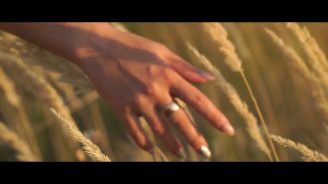 Sony a6500(Slow-motion )100 кадров/с смотреть онлайн