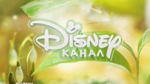 Disney Channel Russia. Adv. ident #4 (Spring 2020)
