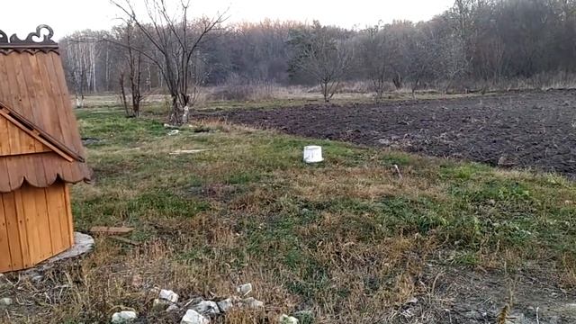 Купил дом в деревне смотреть онлайн