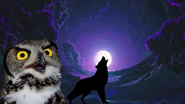 wolves howling sound, wolf sound at the full moon, owl sound, owl hoot, owl hooting смотреть онлайн